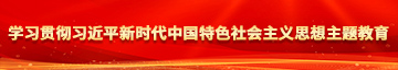 208操逼学习贯彻习近平新时代中国特色社会主义思想主题教育